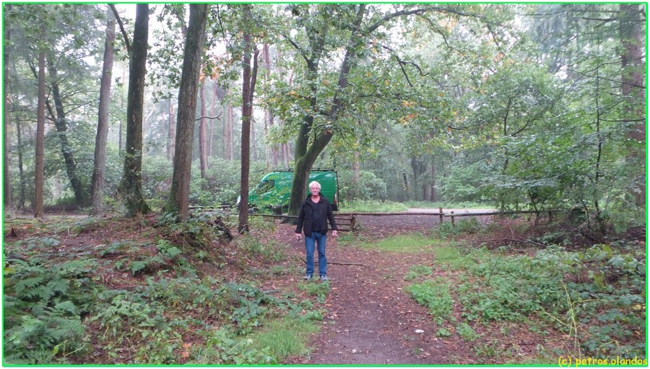 voor het eerst in het bos